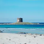 Country Paradise - &