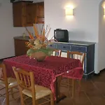 Country Paradise - &