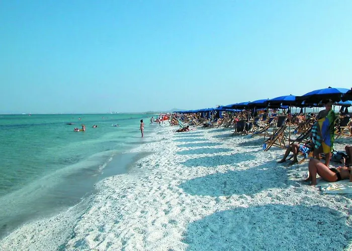 Resort Country Paradise - &