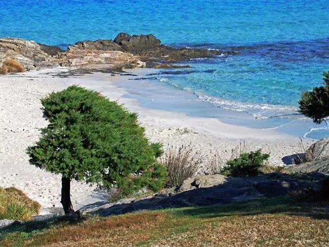 Country Paradise - &